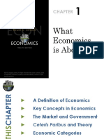 What Economics Is About