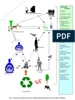 Factors Affecting Civet Trade in Ethiopia