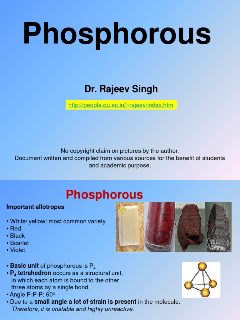 Phosphorous: Dr. Rajeev Singh | PDF | Phosphorus | Chemical Substances