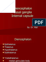 Diencephalon, Basal Ganglia, Limbic System