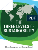 Three Levels of Sustainability PDF