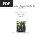 Download Colocasia - Elephant Ears for the Garden by Dennis Carey SN47407732 doc pdf