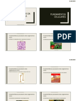 Fundamentos Da Bioquímica PDF