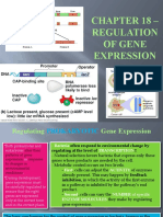 Chapter 18 - Regulation of Gene Expression