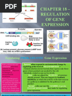 Chapter 18 - Regulation of Gene Expression