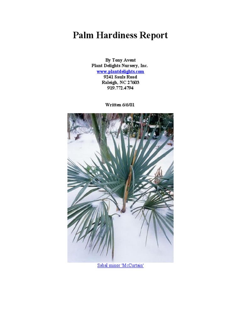 Palm Hardiness Report | PDF | Flora | Trees