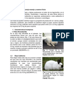 Resumen-Grupo-12-Razas-de-conejo.pdf · versión 1