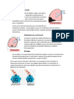 Atelectasia Por Compresión