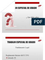 Induccion de Trabajo Especial de Grado PDF