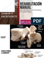 Tmo Lumbar