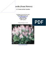 Tiarella - Foam Flowers For The Garden
