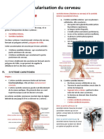 Copie de Vascularisation du cerveau.pdf