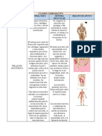 Cuadrocomparativo 401503 52