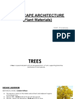 Landscape PDF