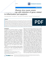 H3N2 canine influenza virus causes severe morbidity in dogs with induction of genes related to inflammation and apoptosis