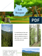 los bosques