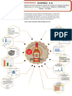 Infografia Proyecto Kokteili