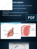 ENDOCARDIO