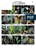 029_Amer_Trop-Ant_Plantsv1.4_0.pdf