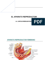 APARATO REPRODUCTOR.ppt