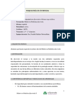 Plan de Psiquiatría Online PDF
