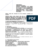 DEMANDA  DE BENEFICIOS  SOCIALES  FIESTAS PINGO JOSE FELIPE.docx