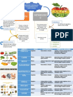 Conceptualizacion de Los Alimentos