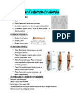 Resumen Certamen Anatomía2 Ultimo PDF