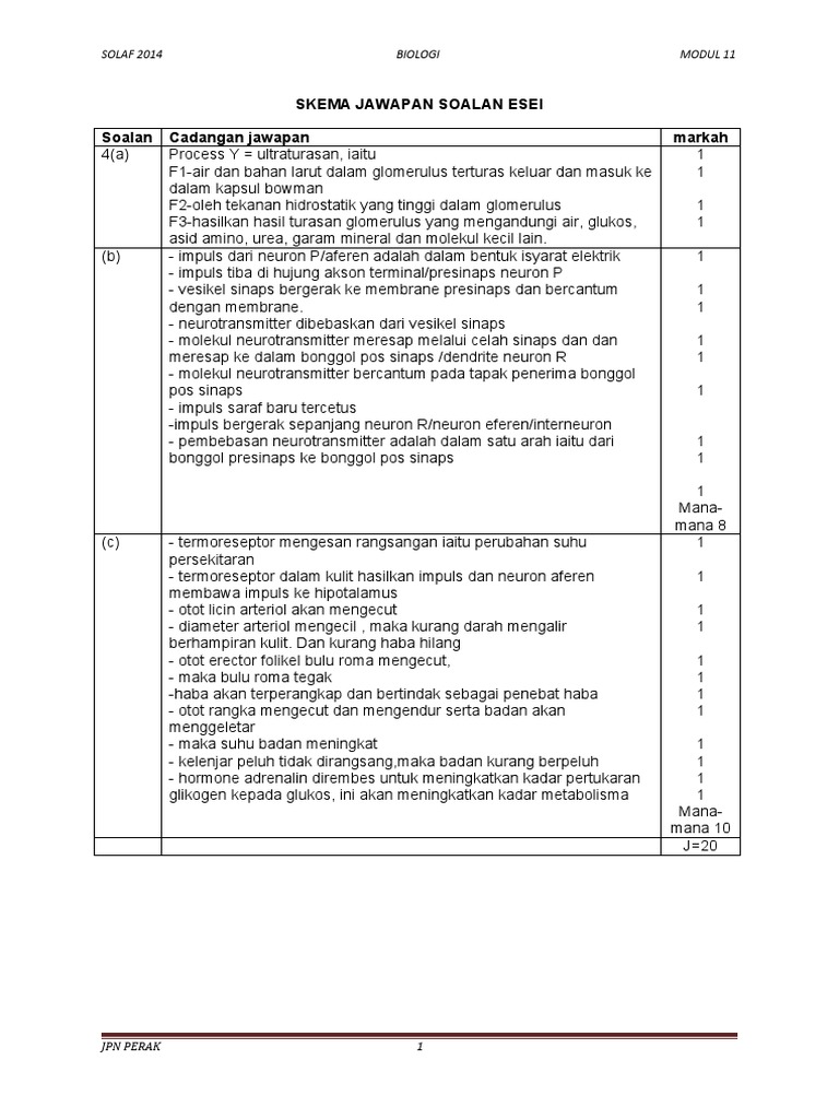 Arahan Tuliskan Jawapan Anda Dalam Kotak Yang Disediakan Pdf Free Download