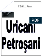 petrosani uricani