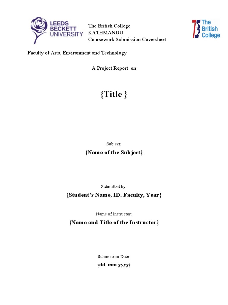 Lab Report Format | PDF | Computer Programming | Software