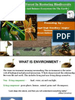 Junglees Mixed Forest Edited1 PDF