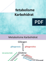 8) Metabolisme Karbohidrat (Cont) Ok