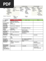 Antibiotic Coverage Chart 2024 | PDF