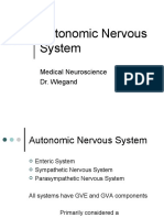 Auto Nerve System