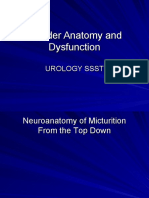 Bladder - Anatomy - and - Dysfunction SSST