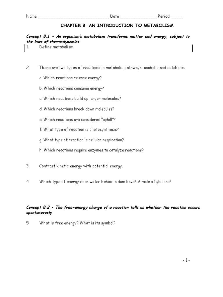 Metabolism Worksheet Unduh gratis PDF Enzyme Enzyme Inhibitor