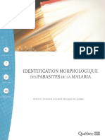 372-IdentificationMorphologiqueParasitesMalaria.pdf