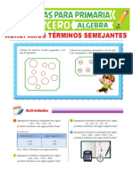 Agrupación de Términos Semejantes para Tercero de Primaria PDF