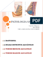 Tumori Mamare PDF