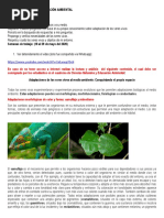 Guia 4 y 5 Adaptaciones Sexto Grado