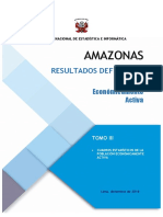 Resultados Definitivos de La Población Económicamente Activa 2017 Amazonas 03