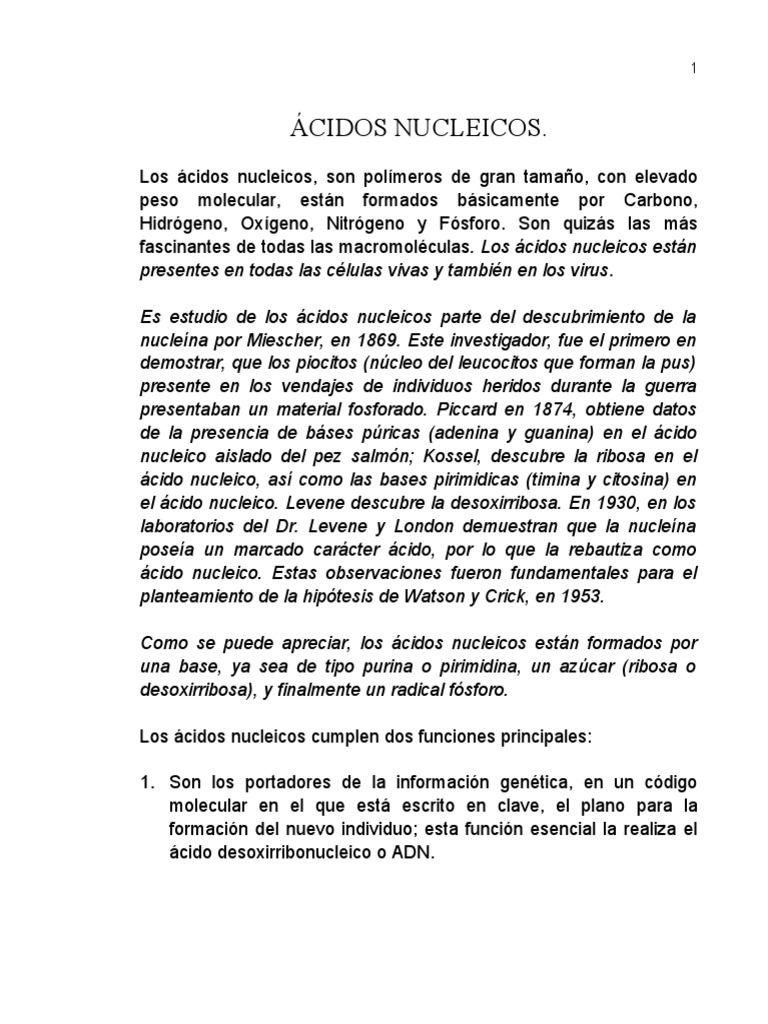 Introducción a los Ácidos Nucleicos | PDF | Rna | Ácidos nucleicos