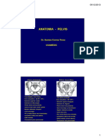 Pelvis PDF