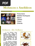 Moluscos e Anelídeos