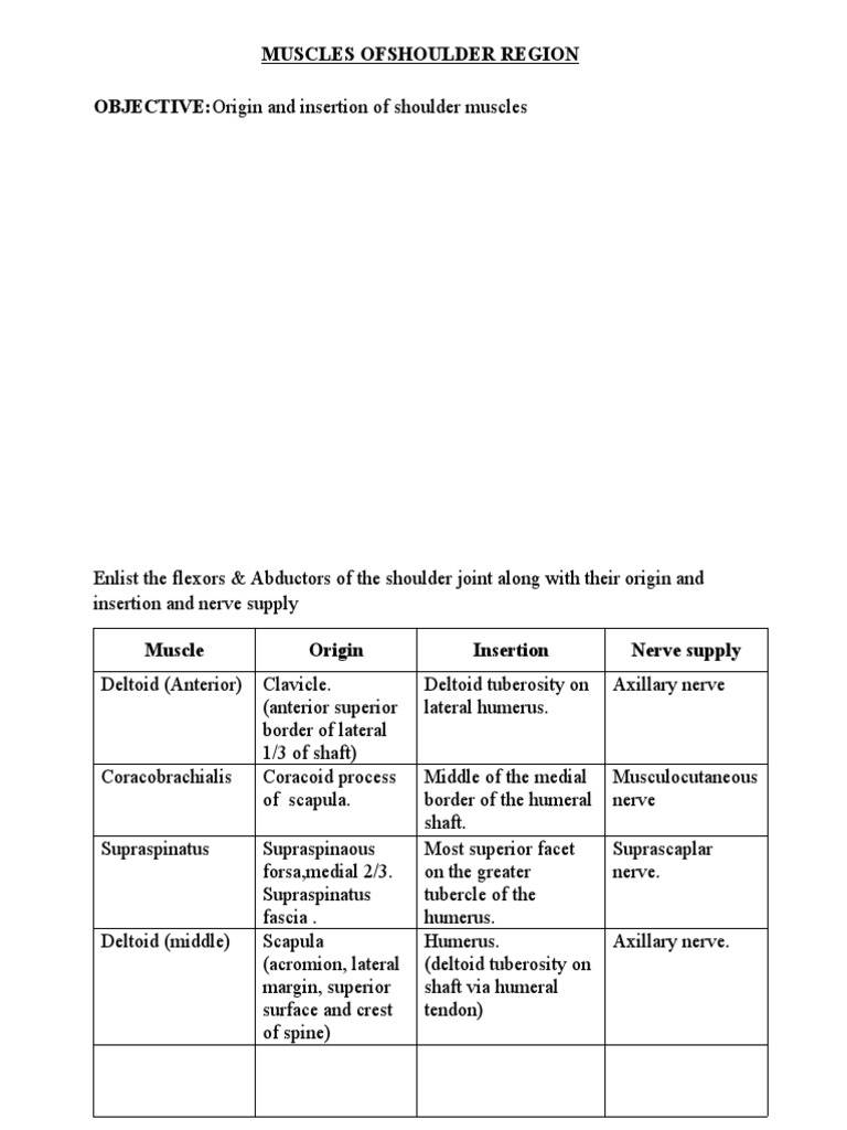Manual Muscle Testing of Shoulder Region | PDF | Shoulder | Arm
