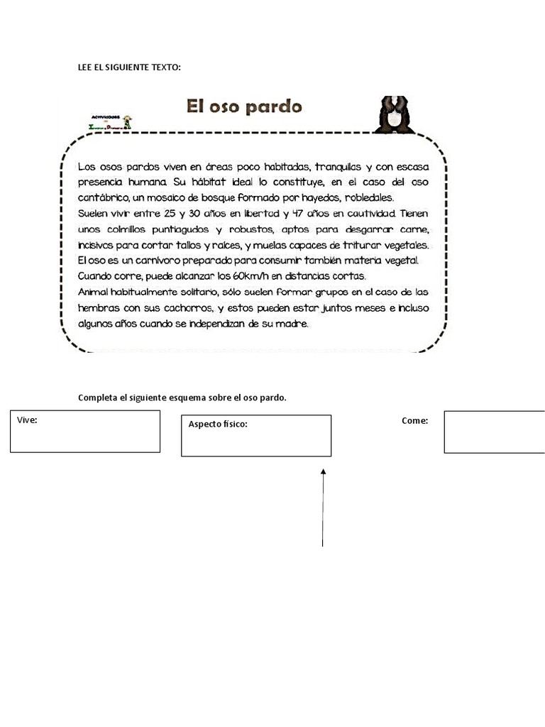 Actividades 4to Año Primaria | PDF