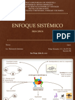 Enfoque sistémico y principios en terapia familiar