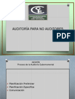 Auditoria2 PDF