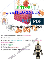5-TISSU CARTILAGINEUX DIAPOS - 2 - MED 2020